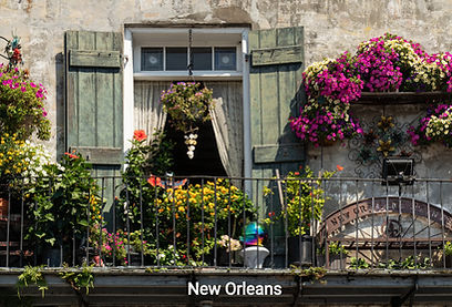 A New Orleans Window_edited.jpg