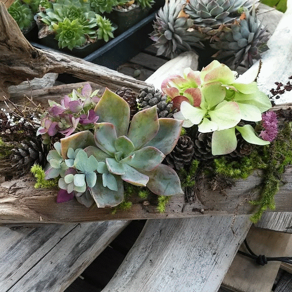 20160929_155856_HDR-ANIMATION