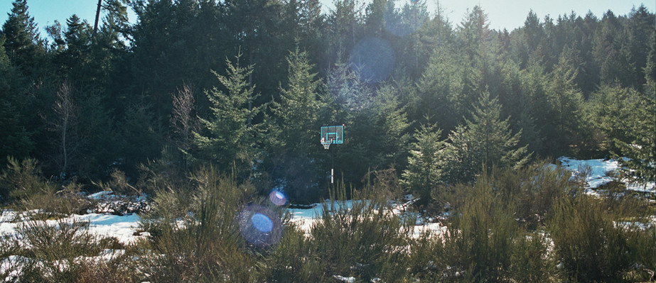 All Weather Basketball Net in suburban settings. often unused and decaying.