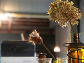 古道具店から漂う魅力を無視できなくなっている僕がいる