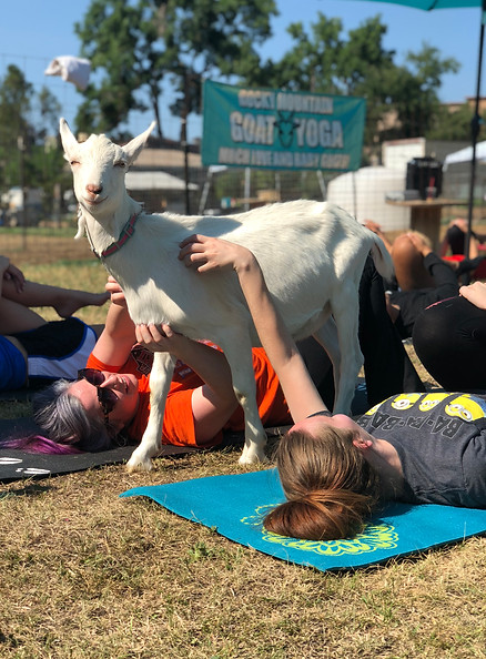 Rocky Mountain Goat Yoga
