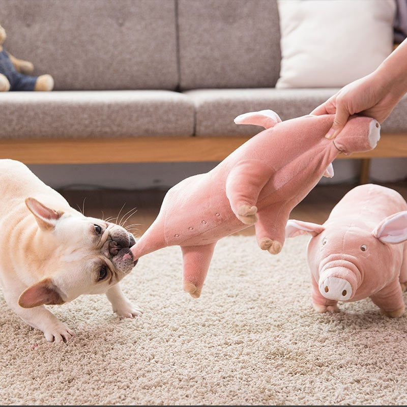 Thumbnail: Sleepy Pig Plush Toy for Dogs | Soft Cuddle & Play Companion