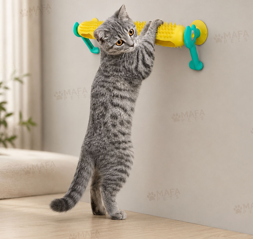 Thumbnail: Interactive Cat Puzzle Toy with Track Ball