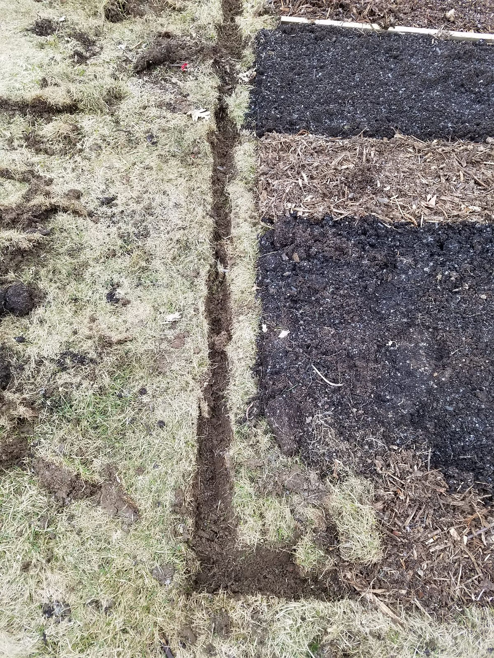Garden Bed