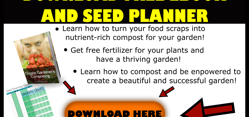 How to Grow Perilla Leaves, How to Grow Kkaennip, Growing Perilla in a Pot | Enhanced Garden&Life
