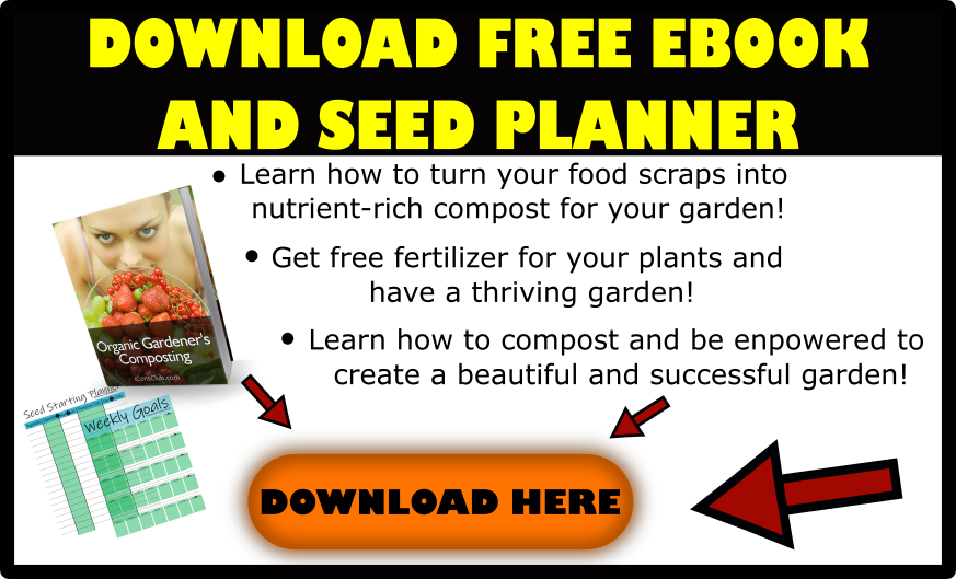 how to harvest lettuce