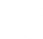 Bird-White.png