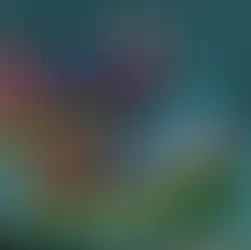 The nations of Azerbaijan and Armenia sign a Trump-brokered peace deal