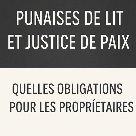 🏚️ Punaises de lit et justice de paix : quelles obligations pour les propriétaires ?