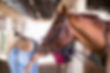 istockphoto-838016368-612x612.jpg