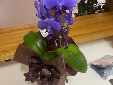 コロナワクチンにつきまして