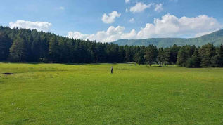 Bolu yaylalarında uçsuz bucaksız yeşil meralar, çam ormanları ve masmavi gökyüzü altında doğa yürüyüşü manzarası