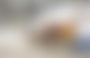 "Bolu Abant Gölü çevresinde karlı yolda ilerleyen geleneksel atlı fayton ve kış manzarası"