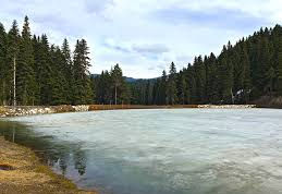 Karabük Safranbolu Sarıçiçek Yaylası ve göleti manzarası; çam ormanları ile çevrili yayla gölü ve doğa turizmi görseli
