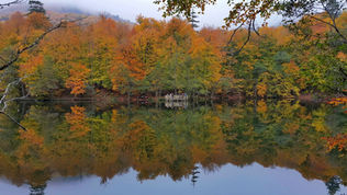 Büyükgöl Sonbahar Manzarası