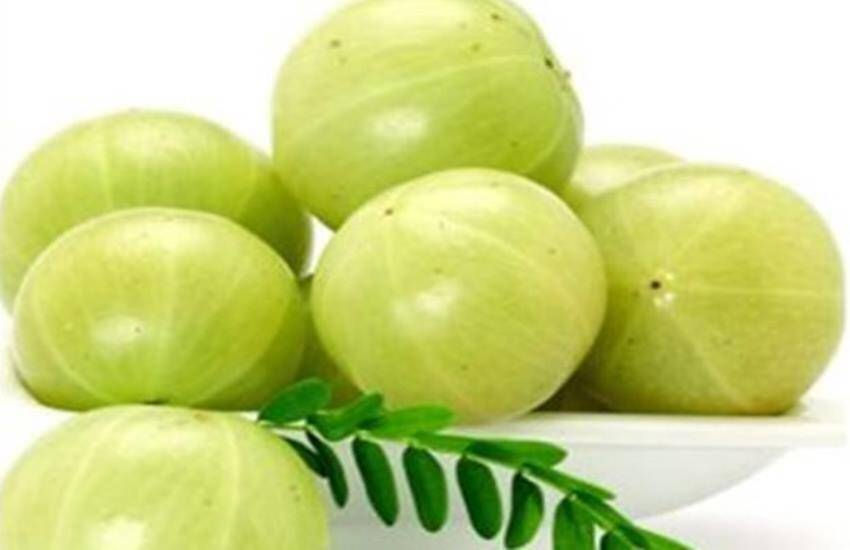 Pathri Ki Dawai | Pathri Ka Ilaj | Kidney Stones | Gooseberry Se Gurde Ki Pathri Ka Ilaj