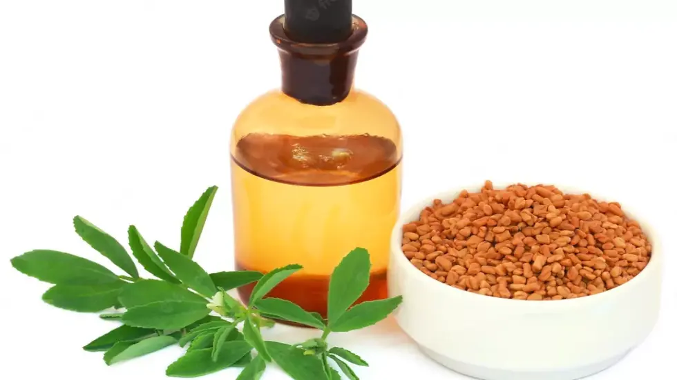 मेथी तेल से गुर्दे की पथरी का इलाज