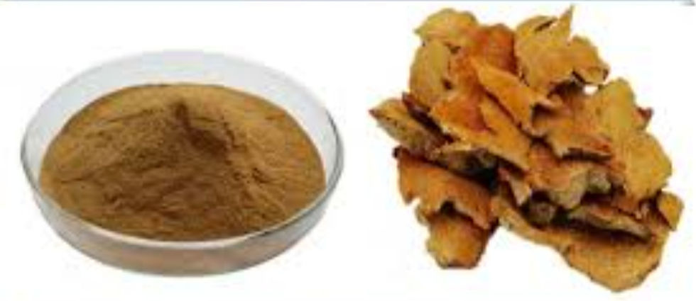 Gurde Ki Pathri : सरसपरिला से गुर्दे की पथरी का इलाज