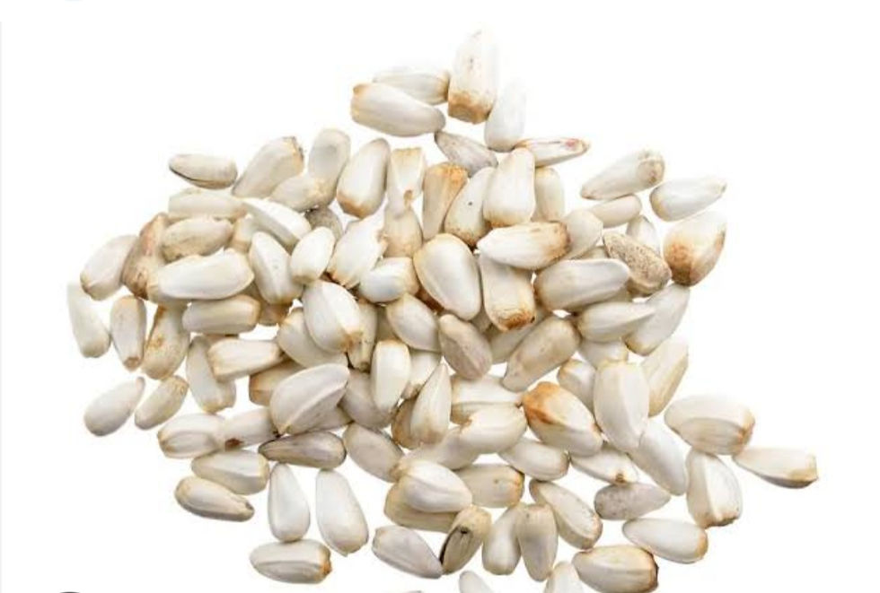 Safflower Seeds Se Gurde Ki Pathri Ka Ilaj