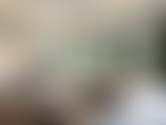 Rental Property Design That Drives Occupancy: Functional + Aesthetic Tips for the Gulf Coast