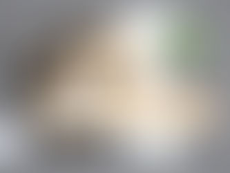 Rent-Ready by Design: Smart Upgrades that Maximize Appeal and Occupancy on the Gulf Coast