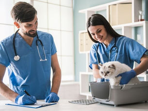 Why Early Diagnosis Starts with Expert Veterinary Consultations