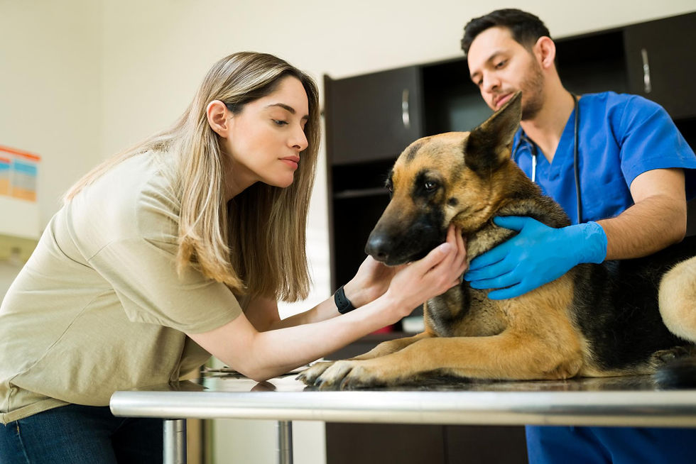 Why Expert Farm Supervision Is Essential for Pet Care