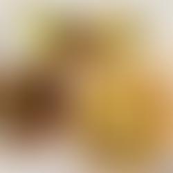 今週のランチ【2025/11/20(木)~2025/11/25(火)】