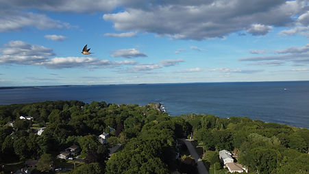 DJI_0019 (1).jpeg