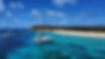 01086200-0DE8-45E5-BC63-C28634A1B0B9_1_105_c.jpeg