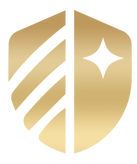 A gold shield with a star emblem on it, symbolizing honor and protection.