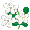 lavender_jasmine.png