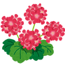 herb_geranium.png