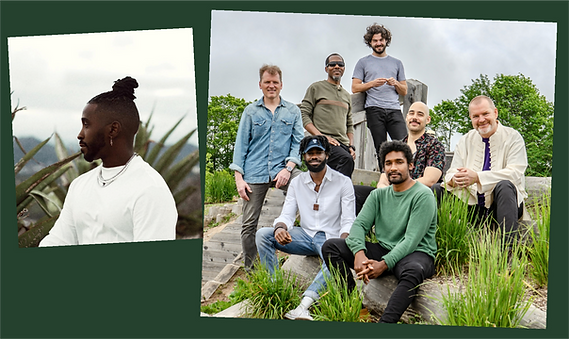 HALFWAY TREE KAYO.png