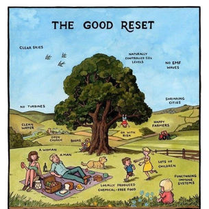 THE GOOD RESET