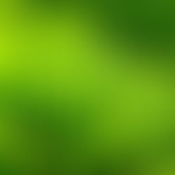 Discovering The Best Grass Types for Lawns in Hamburg NY