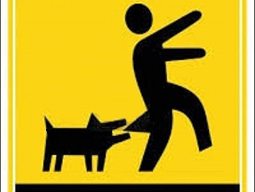 Junk Yard Dog Liability