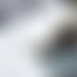 Conversion-First Web Design: What It Means and Why It Matters for Your Business