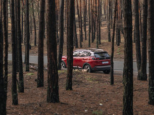 Expert Solutions: How to Address Fremont's Abandoned and Illegally Parked Vehicles
