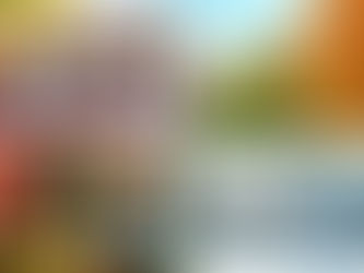 Mastering Exterior Projects: A Seasonal Guide for Hamburg Homeowners