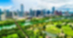 North Austin Landscape.