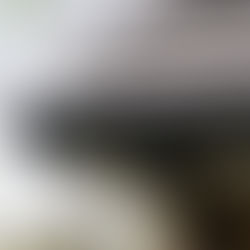 Black gutter system.