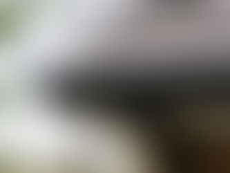 Black gutter system.