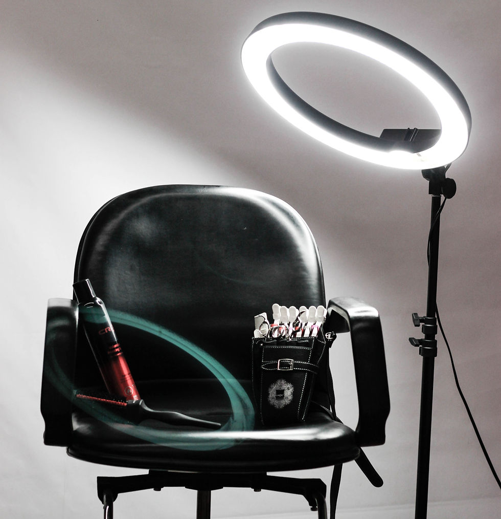 Salon Chair