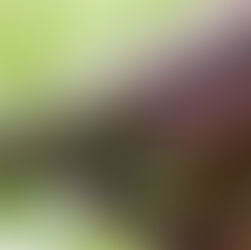 Seasonal Gutter Maintenance Checklist for Texas Homeowners