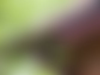 Seasonal Gutter Maintenance Checklist for Texas Homeowners