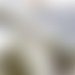 Discover the Benefits of Leaf Filter Systems for Texas Homes