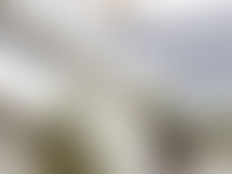 Discover the Benefits of Leaf Filter Systems for Texas Homes