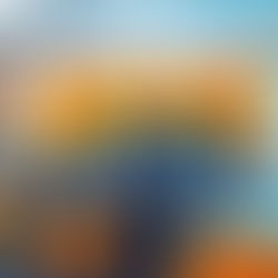 San Marcos Case Study: Transforming a Business with a New Website to Double Sales