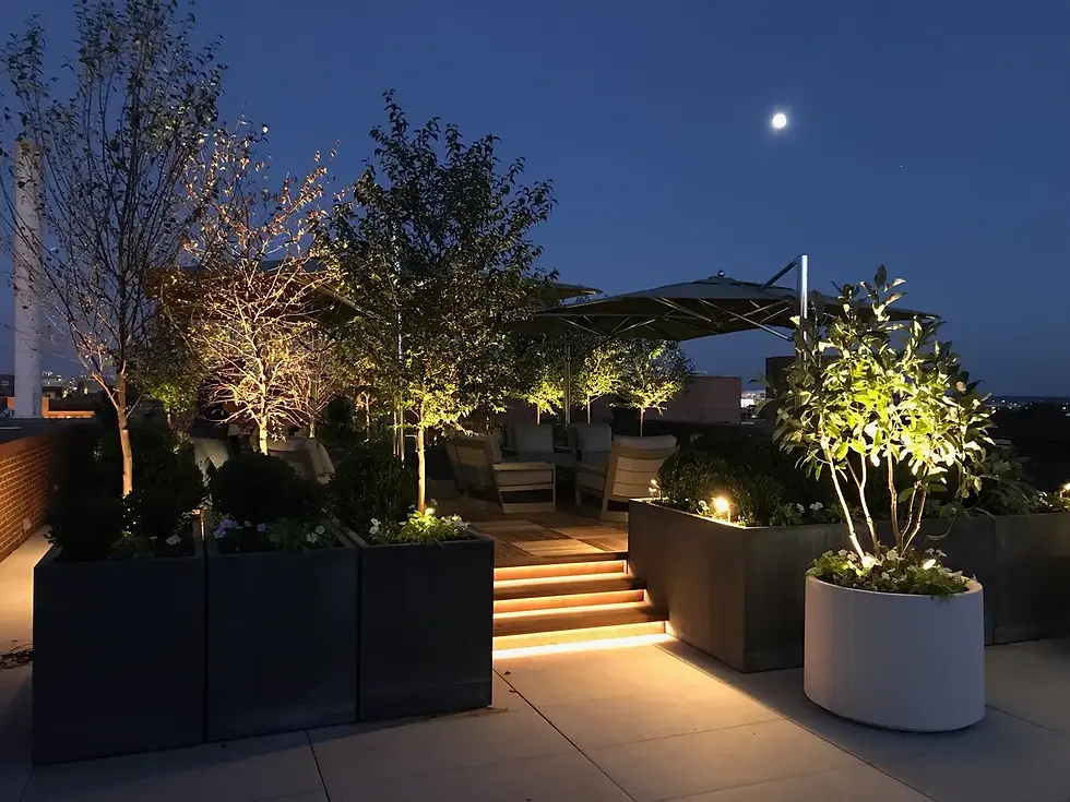 Landscape Lighting New Braunfels Outdoor Installers & Design
